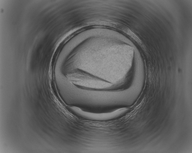 X0000085741028200704091504