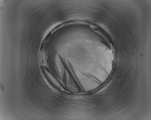 X0000085741030200704091504