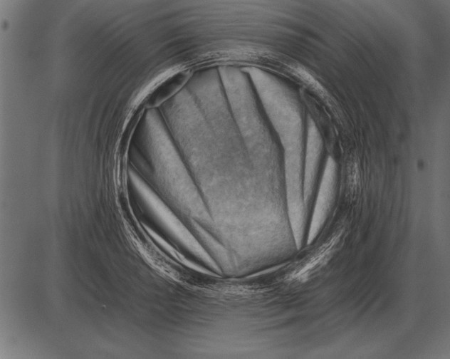 X0000085741034200704091504