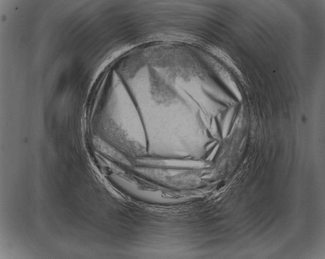 X0000085741040200704091504