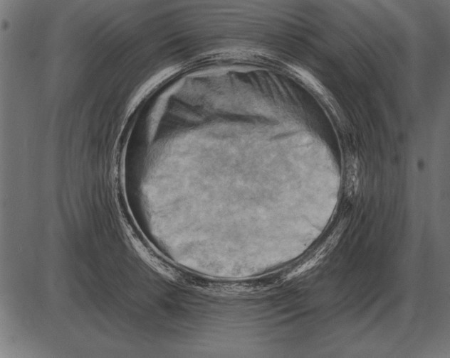 X0000085741042200704091505