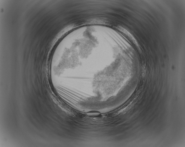 X0000085741043200704091505