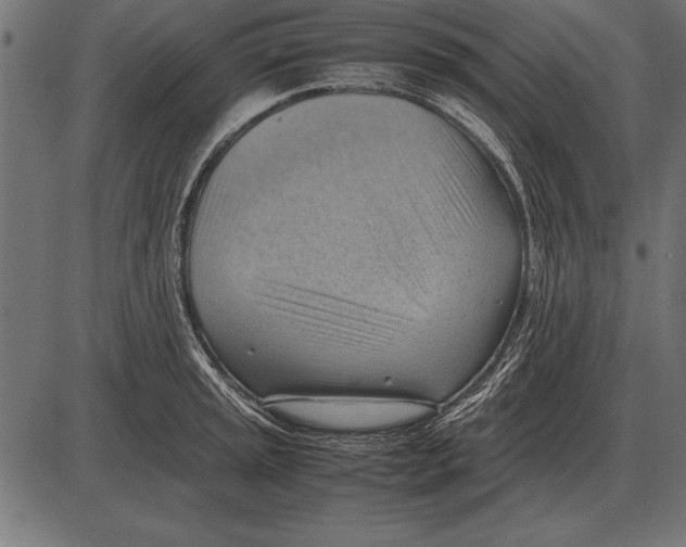 X0000085741045200704091505