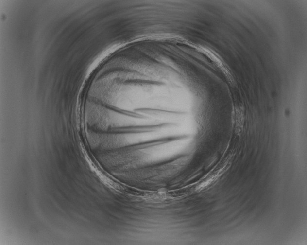 X0000085741046200704091505
