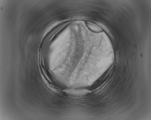 X0000085741047200704091505