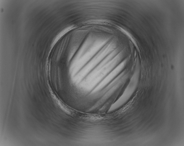 X0000085741050200704091505