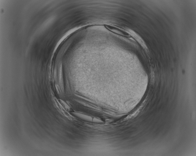 X0000085741052200704091505