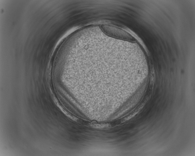 X0000085741053200704091505