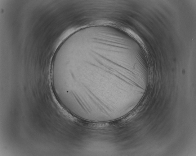 X0000085741055200704091505