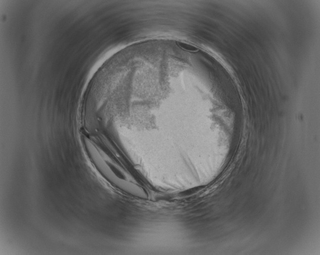X0000085741056200704091505