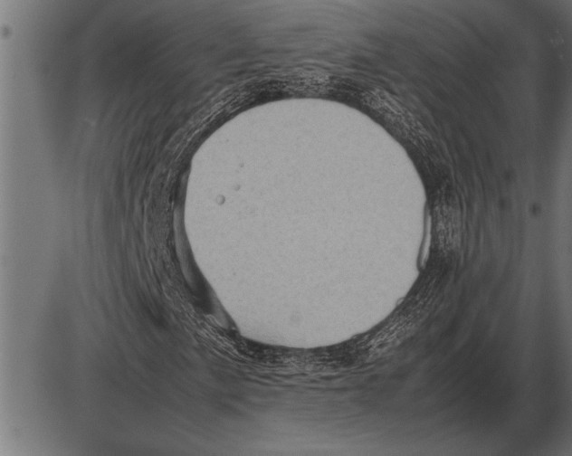 X0000085741057200704091504