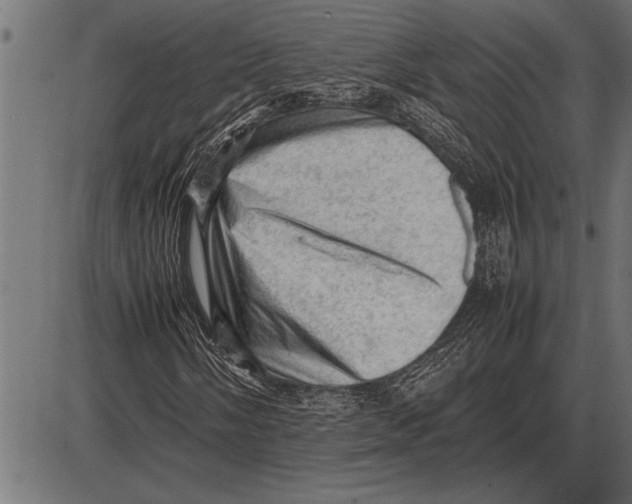 X0000085741058200704091504