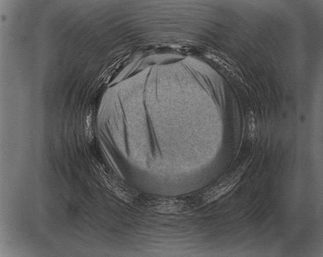 X0000085741060200704091504