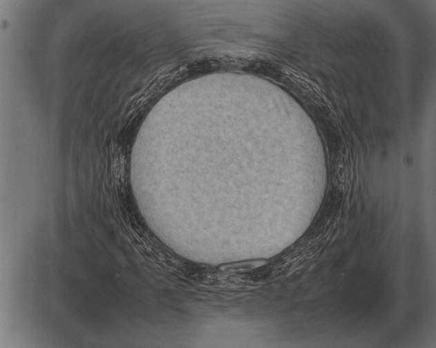 X0000085741061200704091504
