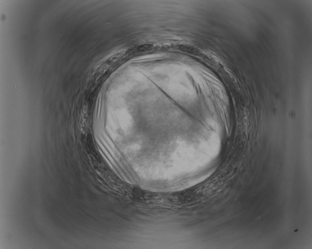 X0000085741063200704091504