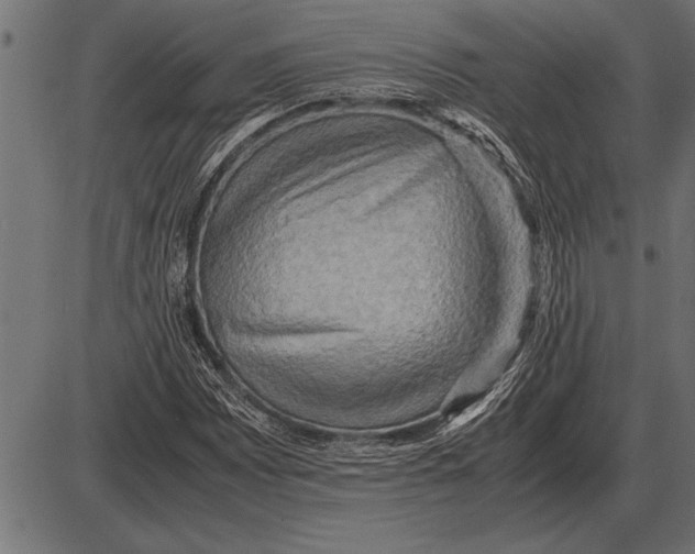 X0000085741065200704091504