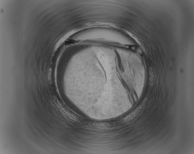 X0000085741066200704091504