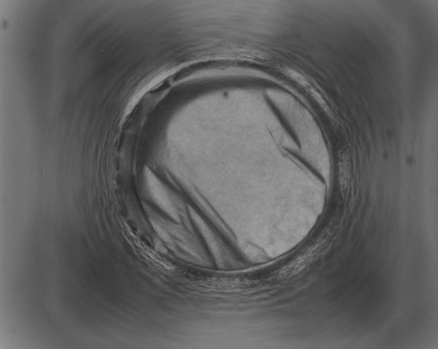 X0000085741069200704091504