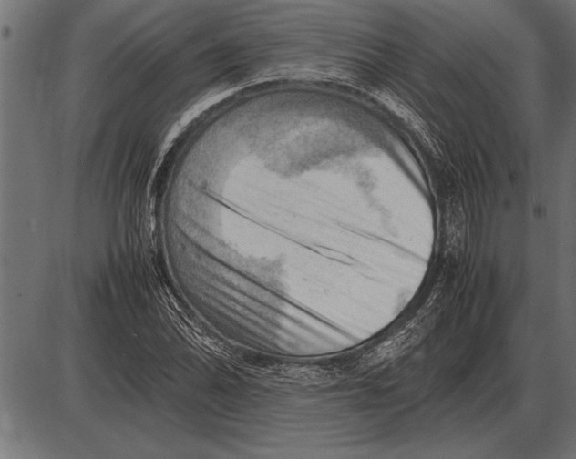 X0000085741070200704091504
