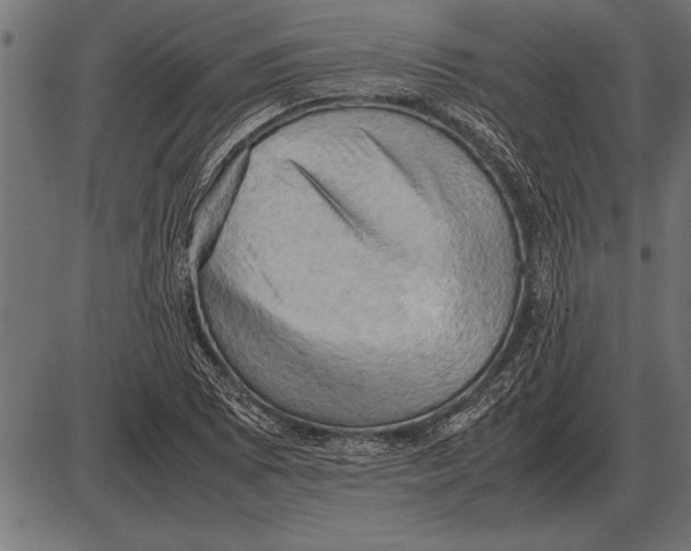 X0000085741073200704091504