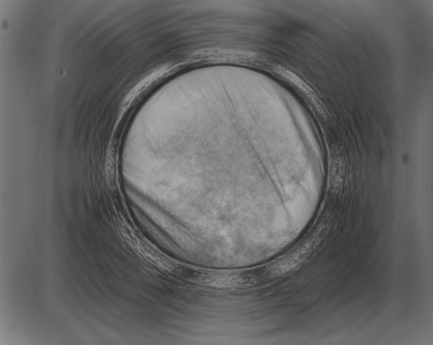 X0000085741074200704091504