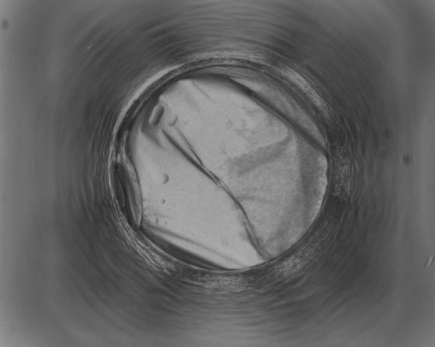 X0000085741076200704091504
