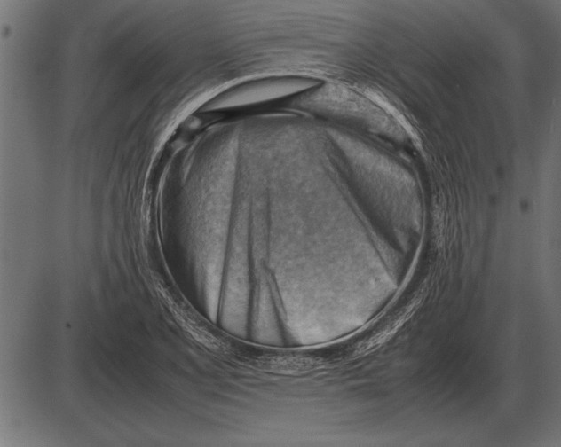 X0000085741077200704091504