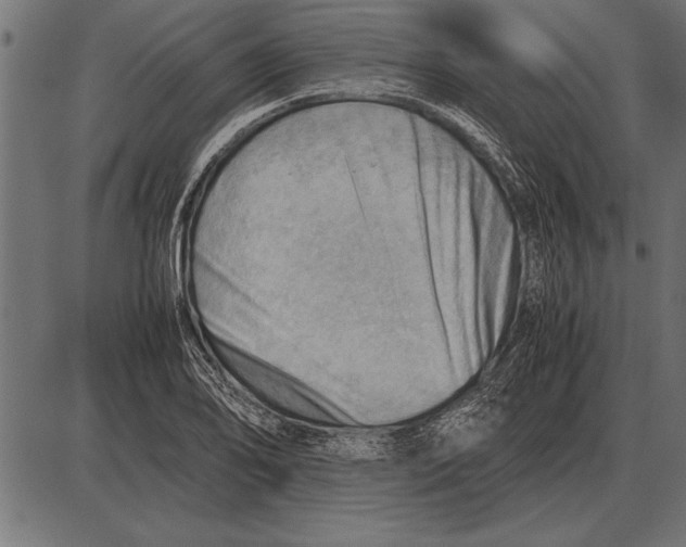 X0000085741078200704091504