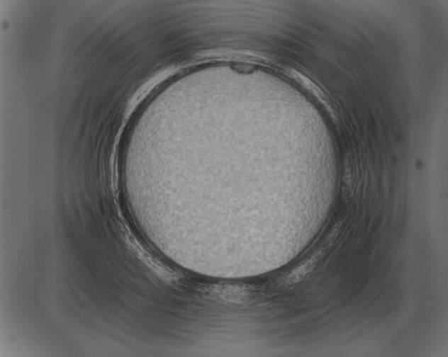X0000085741082200704091504