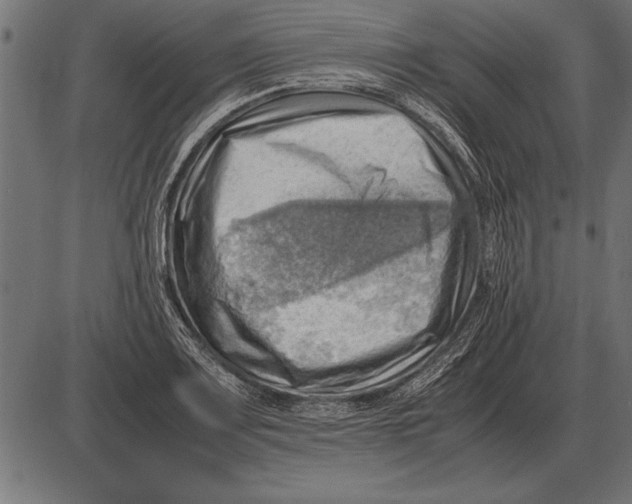 X0000085741083200704091504