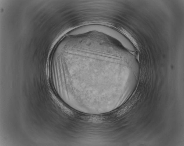 X0000085741084200704091504