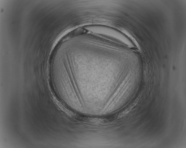 X0000085741085200704091503