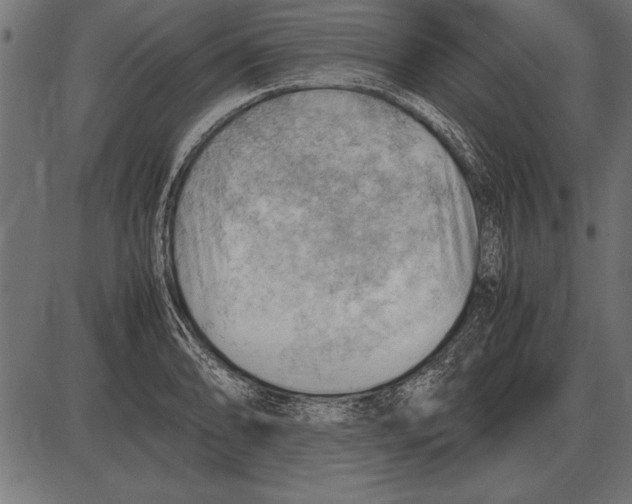 X0000085741086200704091503