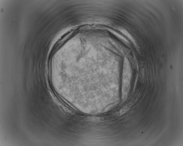 X0000085741088200704091503