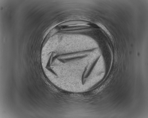 X0000085741089200704091503