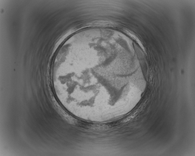X0000085741091200704091503