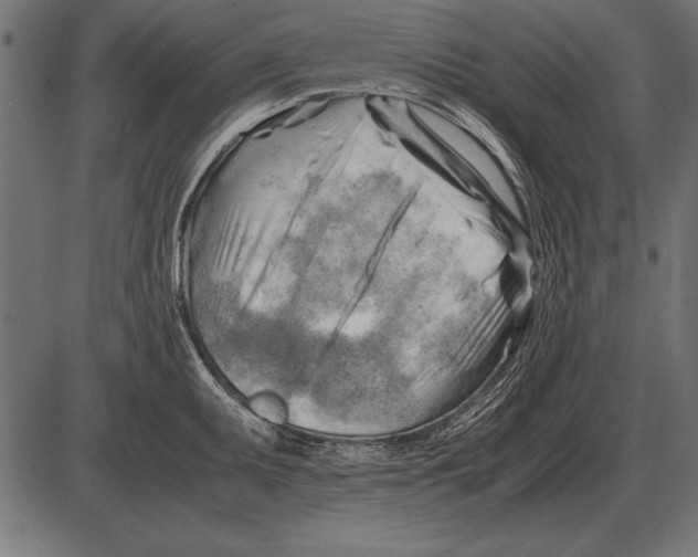 X0000085741095200704091503