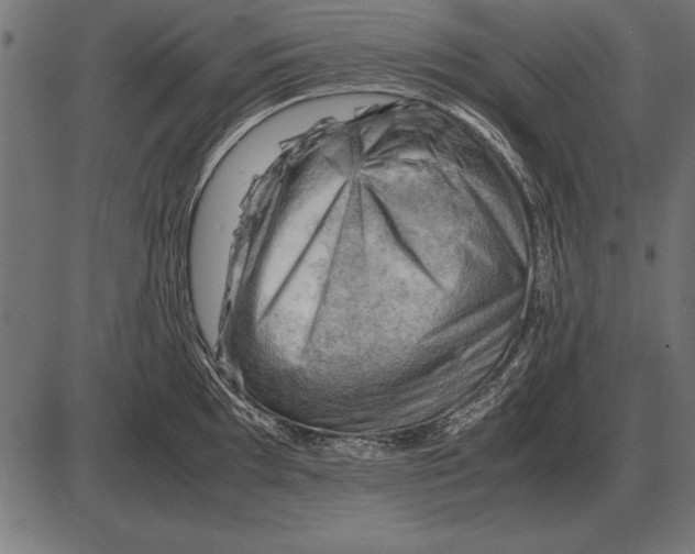 X0000085741097200704091503