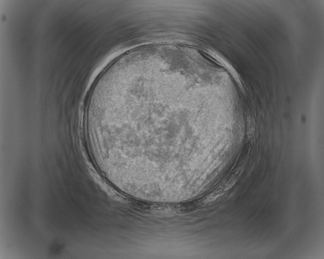 X0000085741099200704091503