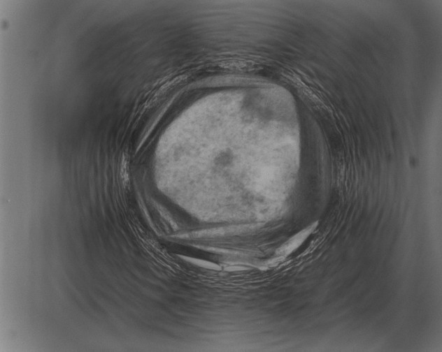X0000085741106200704091502