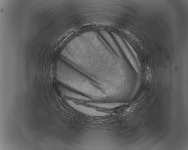 X0000085741110200704091502