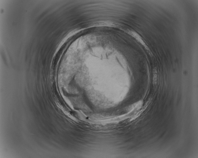 X0000085741116200704091503