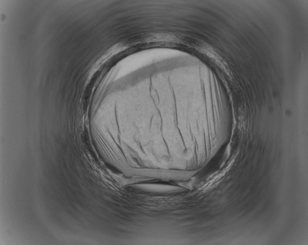 X0000085741117200704091503