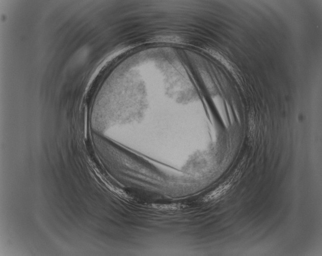X0000085741123200704091503