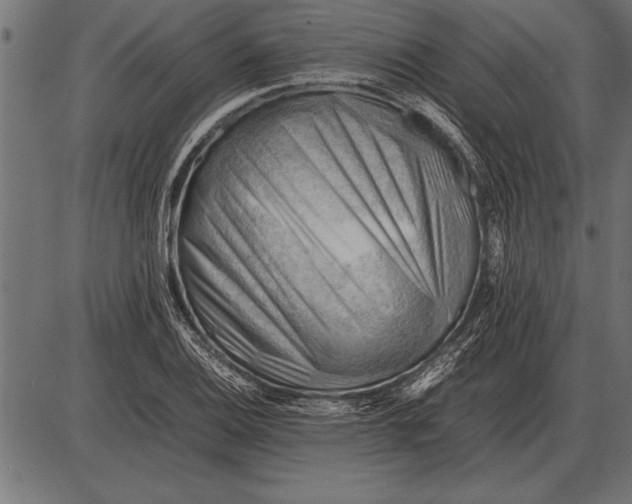 X0000085741124200704091503