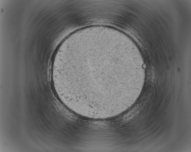 X0000085741126200704091503