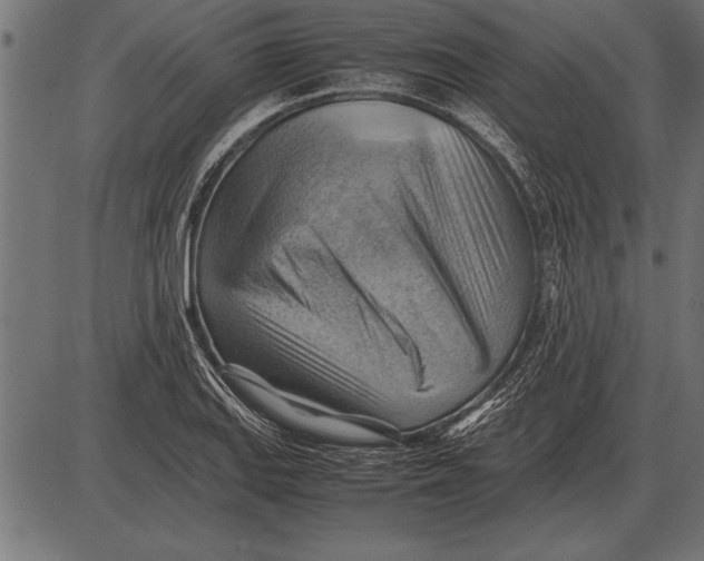 X0000085741127200704091503