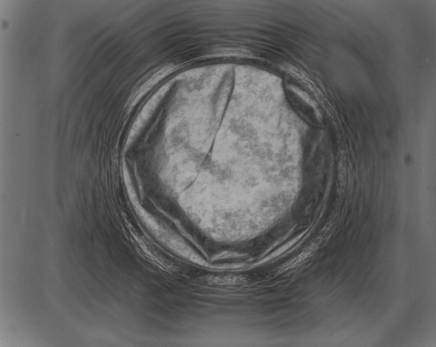 X0000085741129200704091503