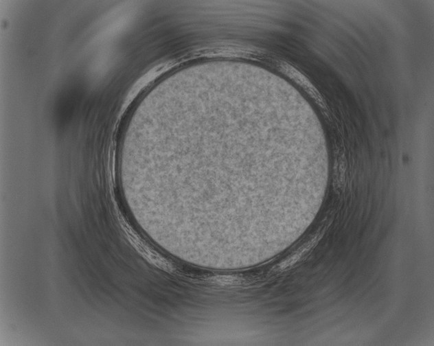 X0000085741130200704091503