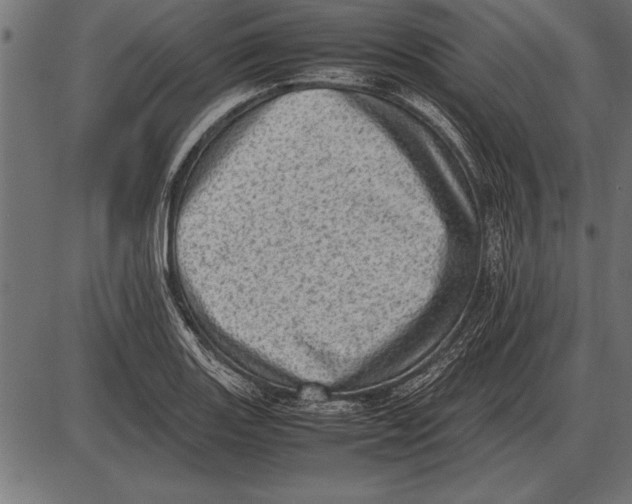X0000085741131200704091503